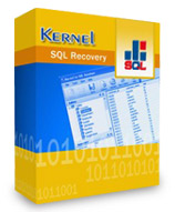 SQL Database Recovery & SQL Recovery