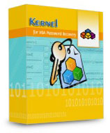 VBA Password Recovery