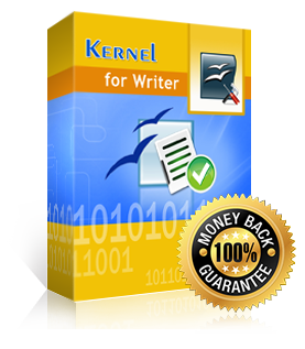  Writer