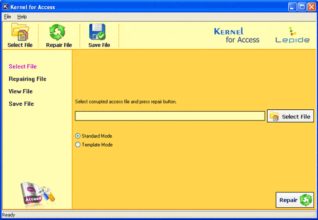 The welcome screen of Kernel for Access