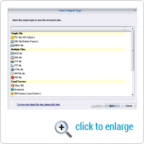 Select Output Type Options