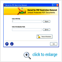 Select PDF Option Screen