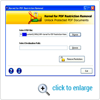 Screen for Selected PDF