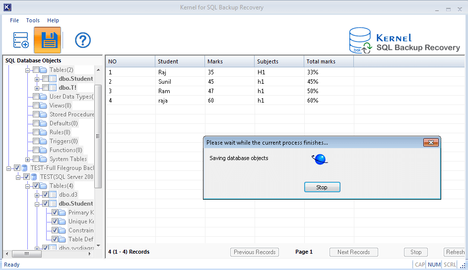 Saving database objects