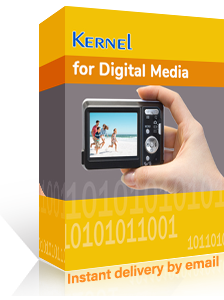 Digital Media Recovery